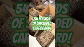 Turn Cardboard into Packing Material with a Paper Shredder! 📦✂️