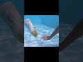 Underwater Bottle Flip #shorts