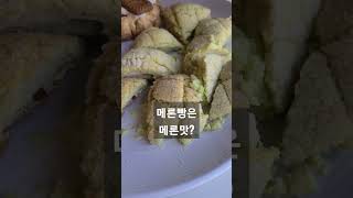 생애 첫 메론빵을 주문! #korea #vlog #shortvideo #맛집 #강아지 #메론