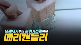 이성기가 간다. 고승연 메리캔들리 대표 010-6371-4834_Candle, Air freshener