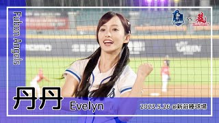 【台湾チア】丹丹 Evelyn / Fubon Angels / 2023.5.26 林哲瑄,高國麟 應援曲 + 嗆司曲 藍色狂潮 [中文歌詞]