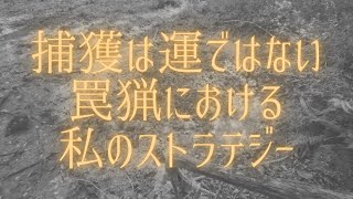 【罠猟デビュー完全ガイド】どこに罠を仕掛けるのか