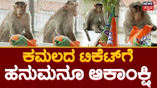 Monkey Waiting For BJP Ticket | ಹನುಮ ನಿನಗೂ ಬೇಕೇನೋ ಬಿಜೆಪಿ ಟಿಕೆಟ್ | News18 Kannada