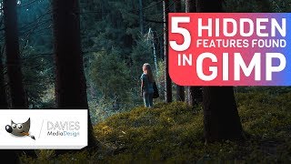 5 Hidden Features Found in GIMP