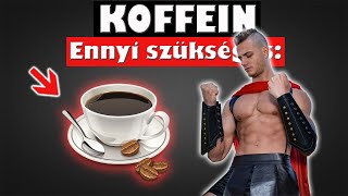 KOFFEIN - Ennyi szükséges ERŐSZINT, ÁLLÓKÉPESSÉG Fejlesztéséhez: