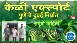 केळी एक्स्पोर्ट पुणे ते दुबई संपूर्ण माहिती Banana Export Pune to Dubai Sourcing, Costing, Shipment