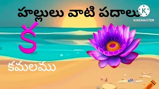 Telugu hallulu | హల్లులు | Learn telugu alphabets for kids | తెలుగు వర్ణమాల | STORYSTAR KIDS