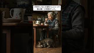 16年の約束。おばあさんと猫が選んだ最期【感動する話】