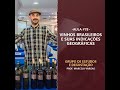 aula 78 vinhos brasileiros e suas indicações geográficas prof. marcelo vargas