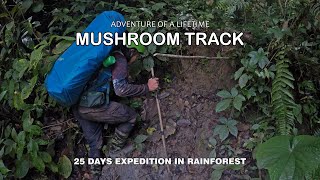 Mushroom Track | 25 Days Expedition in Rainforest | Adventure Of a Lifetime