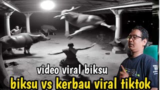 BIKUS VS KERBAU VIRAL TIKTOK || VIDEO CCTV BIKSU VS KERBAU VIRAL