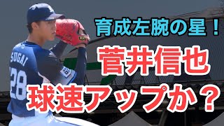 【菅井信也】成長著しい！球速もアップ！