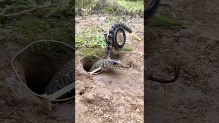 DIY Snake Trap using Bicycle chain #creativesnaketrap #buildsnaketrap#shortsvideo#snaketrap #snake