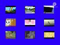 أنا البندورة الحمراء طيور الجنة dvd menu