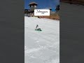 Toboggan-Mount Buller#travel #destination #shorts