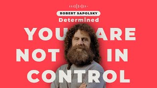 The Scary Truth: Your Brain Decides Before You Do 🧠