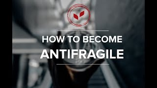 How to Become Antifragile - The Best Way to Cope with Discomfort