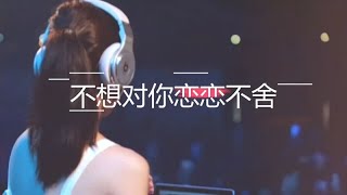 沿音坊DJ舞曲《不想对你恋恋不舍》入心间，好听！