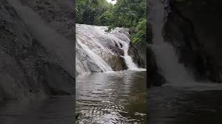 Dhoni Waterfall Palakkad  #waterfall #kerala #keralatourism #palakkad #forest #trucking