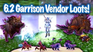 Jessiehealz - 6.2 Garrison Vendor Pets, Toys \u0026 Mount (World of Warcraft)