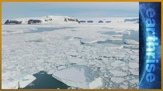 🌊 Antarctic sanctuary: The Weddell Sea quest | earthrise