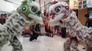 2019 Double Lion Dance & Fighting Skill Performance 世界龍獅日 @ Pavilion Kuala Lumpur #吉隆坡坤成中學龍獅團