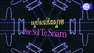 ស្នេហ៍សល់តែស្នាម ( ភ្លេងសុទ្ធ - KARAOKE ) - Sne Sol Te Snam / Vila Tran