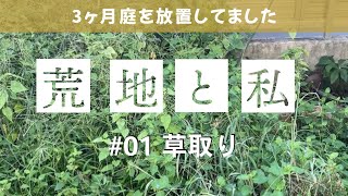 【庭仕事】3ヶ月放置の庭は悲惨でした