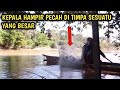 dibawah pohon tua yang besar ternyata tempat sarang monster udang galah || mancing udang galah