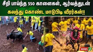 சீறி பாய்ந்த 550 காளைகள், ஆர்வத்துடன் கலந்து கொண்ட மாடுபிடி வீரர்கள்..!!! | NewsJ