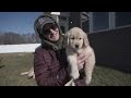 my dog calls a trainer feat. tom davis