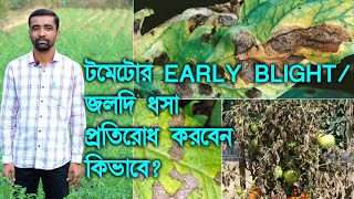 টমেটো চাষের একটি মারাত্মক সমস্যা, জলদি ধসা বা EARLY BLIGHT আটকাবেন কিভাবে? #টমেটো #TOMATO