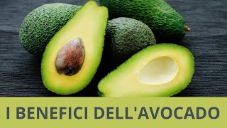 I BENEFICI DELL'AVOCADO