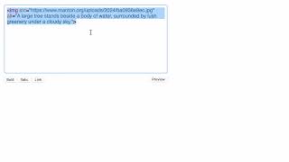Updated text editor progress
