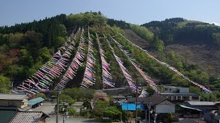 かんな鯉のぼり祭り～鯉のぼりが揚がるまで～