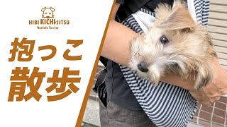 What is your first hug walk, the outside world you see for the first time? [Norfolk Terrier]