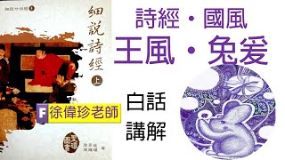 《細說詩經》上《國風·王風·兔爰》白話翻譯講解 徐偉珍老師