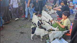 Baghdad, walking in Al-ghazel Market | بغداد, سوق الغزل