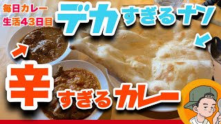 【ブレない旨さ】元祖インド料理屋【アジャンタ】CURRYO TV.第43回