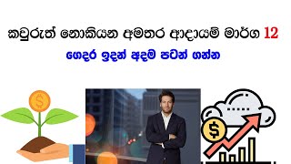 කාටවත් අතනොපා ජිවත් වෙන්න සුපිරි අමතර ආදායම් මාර්ග 12ක් | Best extra income ideas