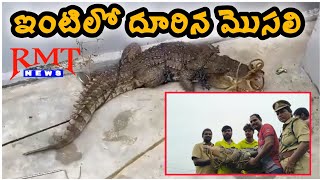 ఇంటిలో దూరిన మొసలి - Crocodile In House | Wanaparthy | @RamagiriMediaTelugu