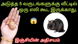 அடுத்த 5 வருடங்களுக்கு வீட்டில் ஒரு எலி கூட இருக்காது/how to get rid of rat@keerthisaratips5728