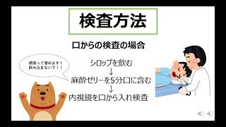 胃カメラ説明動画(PM)