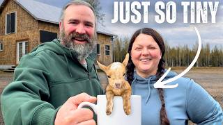 Off Grid Alaska: We Almost Lost Hope