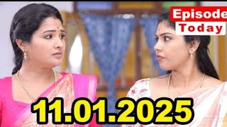 Pandian stores 2 today episode promo 11th January 2025 - vijay tv