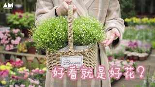 花市买花有什么要注意的？【园丁小饭】*4k