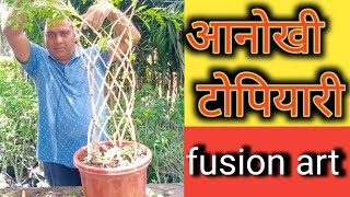 आनोखी टोपियारी || madhukamini Fusion art || grill desing idias topiyary plant ||