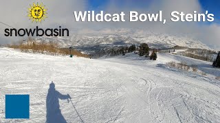 Snowbasin - Wildcat Bowl to Stein's