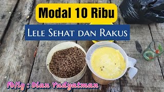 CARA BUAT VITAMIN LELE MODAL 10RIBU UTK RIBUAN EKOR LELE SAMPAI PANEN, LELE RAKUS TAHAN PENYAKIT