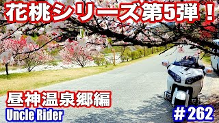 ＃【Motovlog】花桃シリーズ第5弾　昼神温泉郷編　Uncle Rider ツーリングレター　＃262